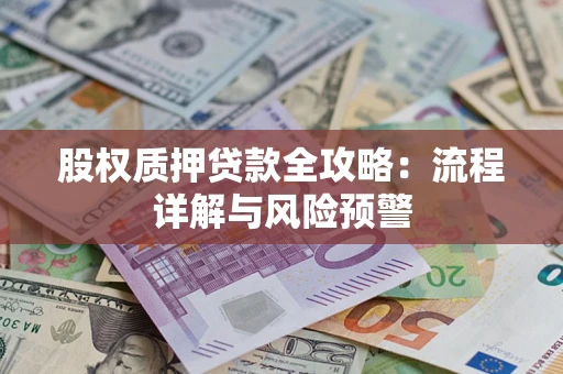 北京股权质押贷款全攻略：流程详解与风险预警