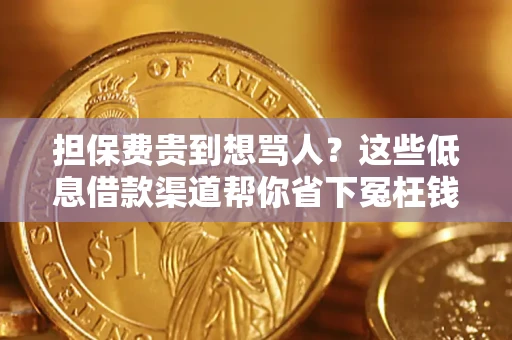 北京担保费贵到想骂人？这些低息借款渠道帮你省下冤枉钱