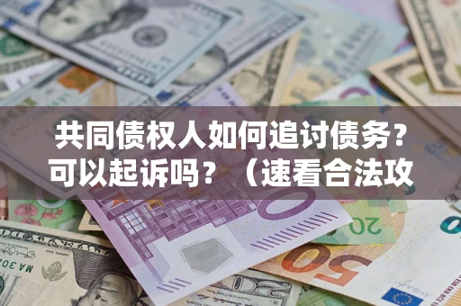 北京共同债权人如何追讨债务？可以起诉吗？（速看合法攻略）