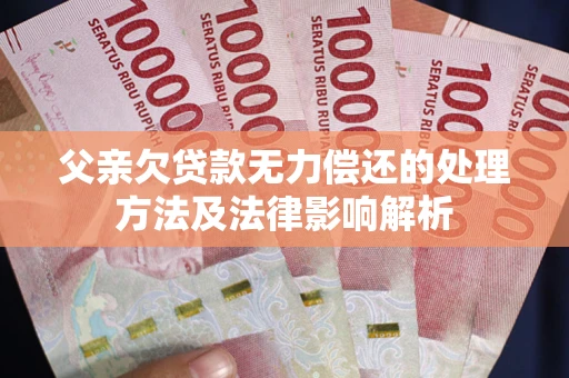 北京父亲欠贷款无力偿还的处理方法及法律影响解析